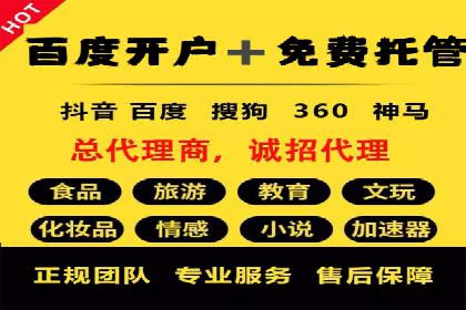百度SEO推广公司经典之作：打造行业领先品牌